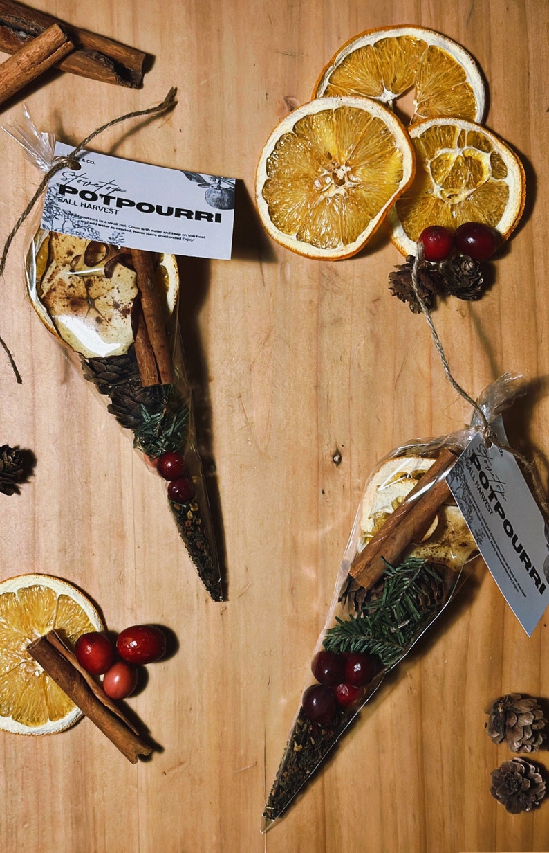 Harvest Simmer Pot / Fall Stovetop Potpourri / Gifts for Etsy Australia