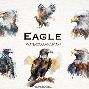 Watercolor Eagle Clipart | PNG Format for Commercial Use, Instant Download, 18 Transparent Images