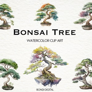 Watercolor Bonsai Tree Clipart | PNG Format for Commercial Use, Instant Download | 18 Transparent Images
