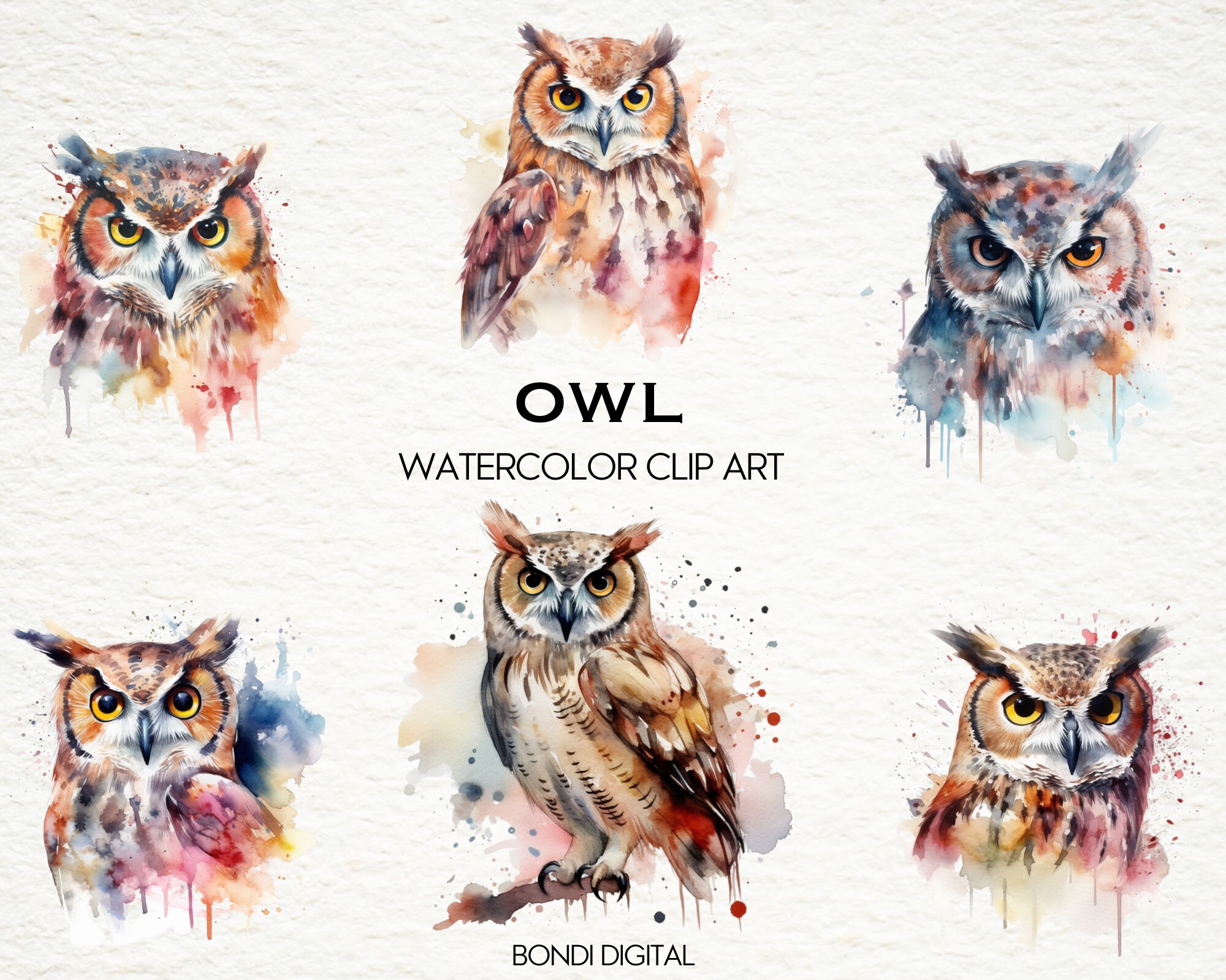 Watercolor Owl Clipart | PNG Format for Commercial Use, Instant ...