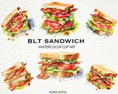 Watercolor Bacon, Lettuce, Tomato Sandwich Clipart | PNG Format for Commercial Use, Instant Download, 18 Transparent Images | BLT Clipart