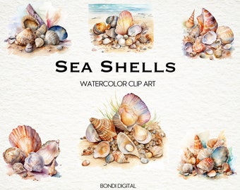 Watercolor Sea Shell Clipart | Seashell Clipart | Beach Clipart | PNG Format for Commercial Use, Instant Download | 18 Transparent Images