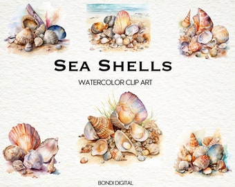 Aquarell Muschel Clipart | Muschel Clipart | Strand Clipart | PNG-Format für kommerzielle Nutzung, Sofortiger Download | 18 Transparente Bilder