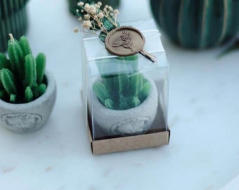 Special Day Gifts, Engagement Gift, Custom Green Cactus Candle Wedding Gifts, Acetate Box Candle, Candle Gift Box Set, Birthday Gift