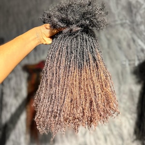 May include: A bundle of dark brown and light brown micro locs. The locs are held at the top, with a gradient effect from dark to light brown. The hair has a natural, textured appearance.