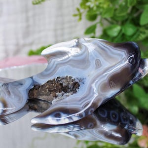 Stunning Druzy Orca Agate Hand-Carved Crystal Dolphin | Oceanic Wisdom & Emotional Flow | Rare Crystal with Waves of Pattern