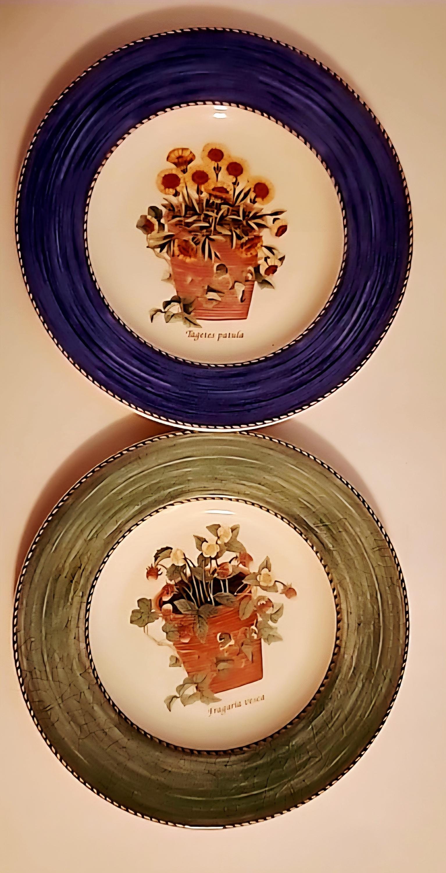 Wedgwood Sarah's Garden - Etsy