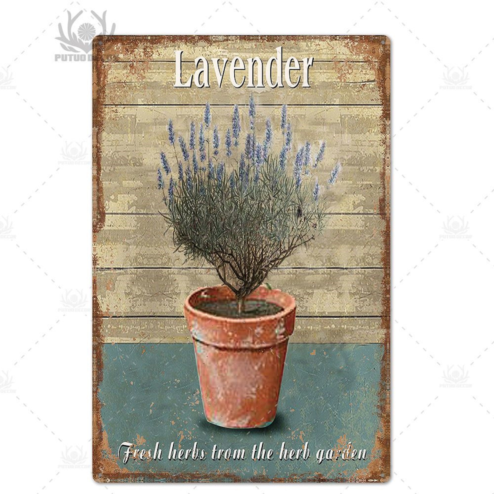 Pre K Teachers Enjoy The Little Things Targa in metallo vintage uomo grotta giardino bagno cucina bar WC regalo 20,3 x 30,5 cm