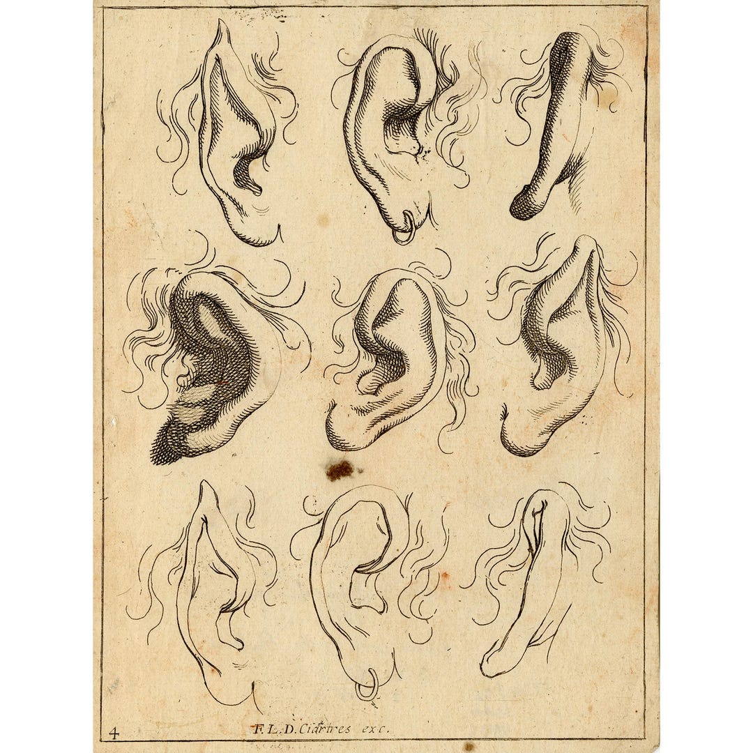 Antique Human Ear Study Print | Ribera 1630 Anatomy Art | Old Master ...