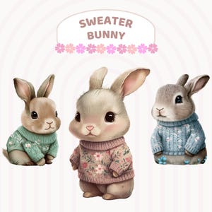 Suéter aconchegante aquarela coelho clipart fofo inverno moda coelho da páscoa berçário arte decoração outono floral fofo bebê animais, scrapbooking PNG