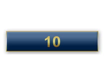 Blue "10 Years of Service" Citation Bar Lapel Pin
