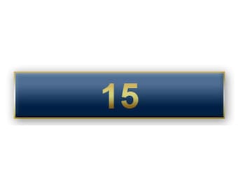 Blue "15 Years of Service" Citation Bar Lapel Pin