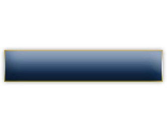 Solid Blue Citation Bar Lapel Pin