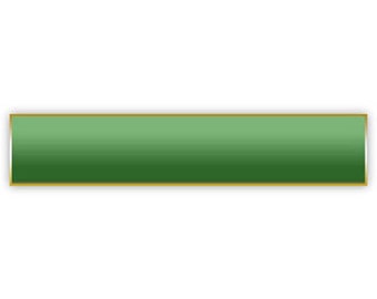 Solid Green Citation Bar Lapel Pin