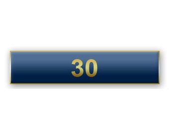Blue "30 Years of Service" Citation Bar Lapel Pin