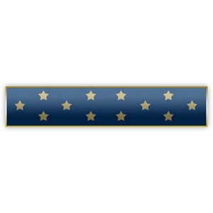 Blue Medal of Honor MOH Citation Bar Lapel Pin - Etsy