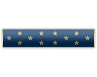 Blue Medal of Honor MOH Citation Bar Lapel Pin
