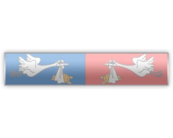 Blue/Pink Stork Citation Bar Lapel Pin