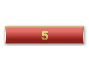Red"5 Years of Service" Citation Bar Lapel Pin