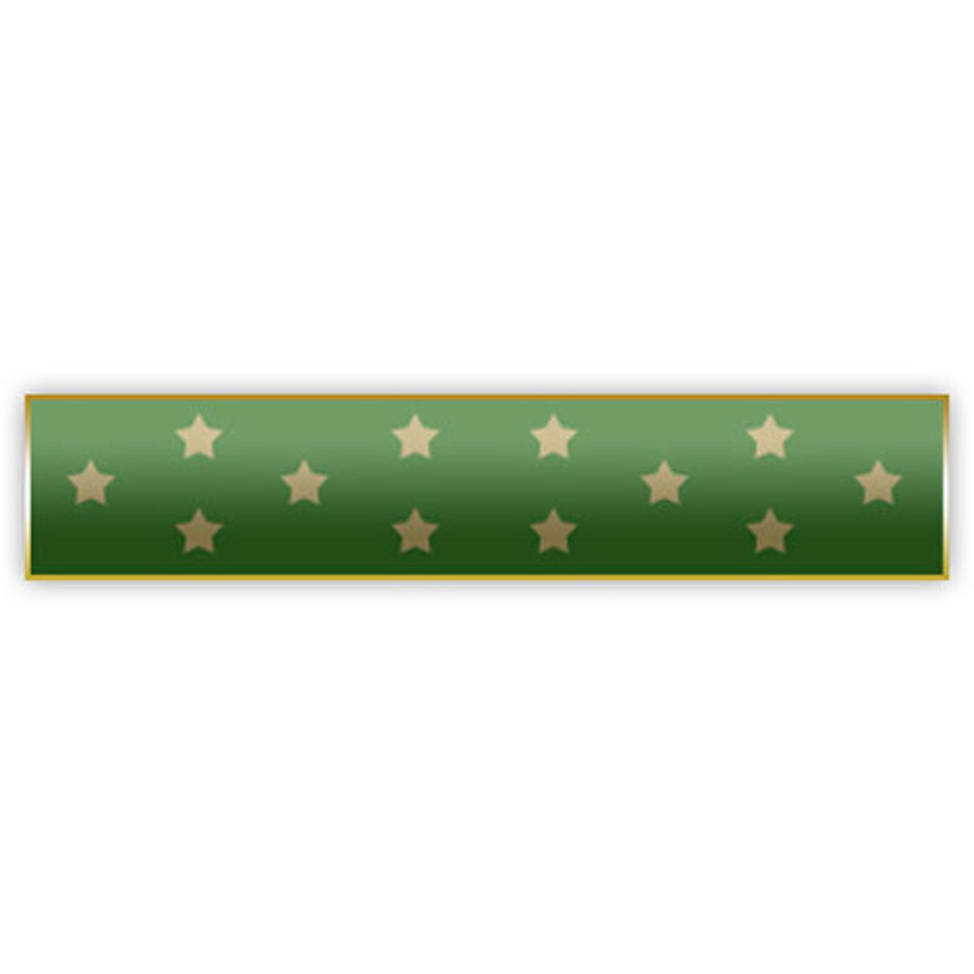Green Medal of Honor MOH Citation Bar Lapel Pin - Etsy