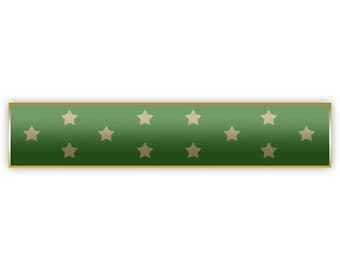 Green Medal of Honor MOH Citation Bar Lapel Pin