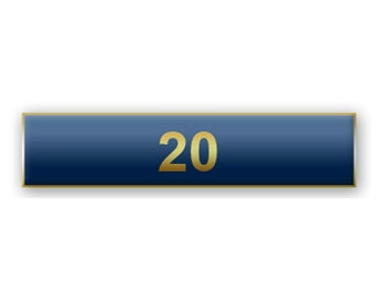 Blue "20 Years of Service" Citation Bar Lapel Pin