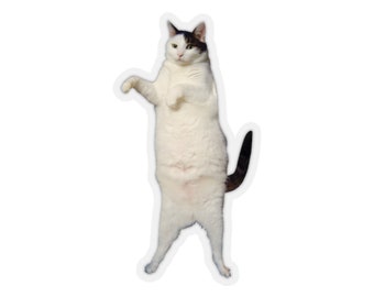 Kitty Cat Dance Sticker #2