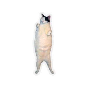 Kitty Cat Dance Sticker #4