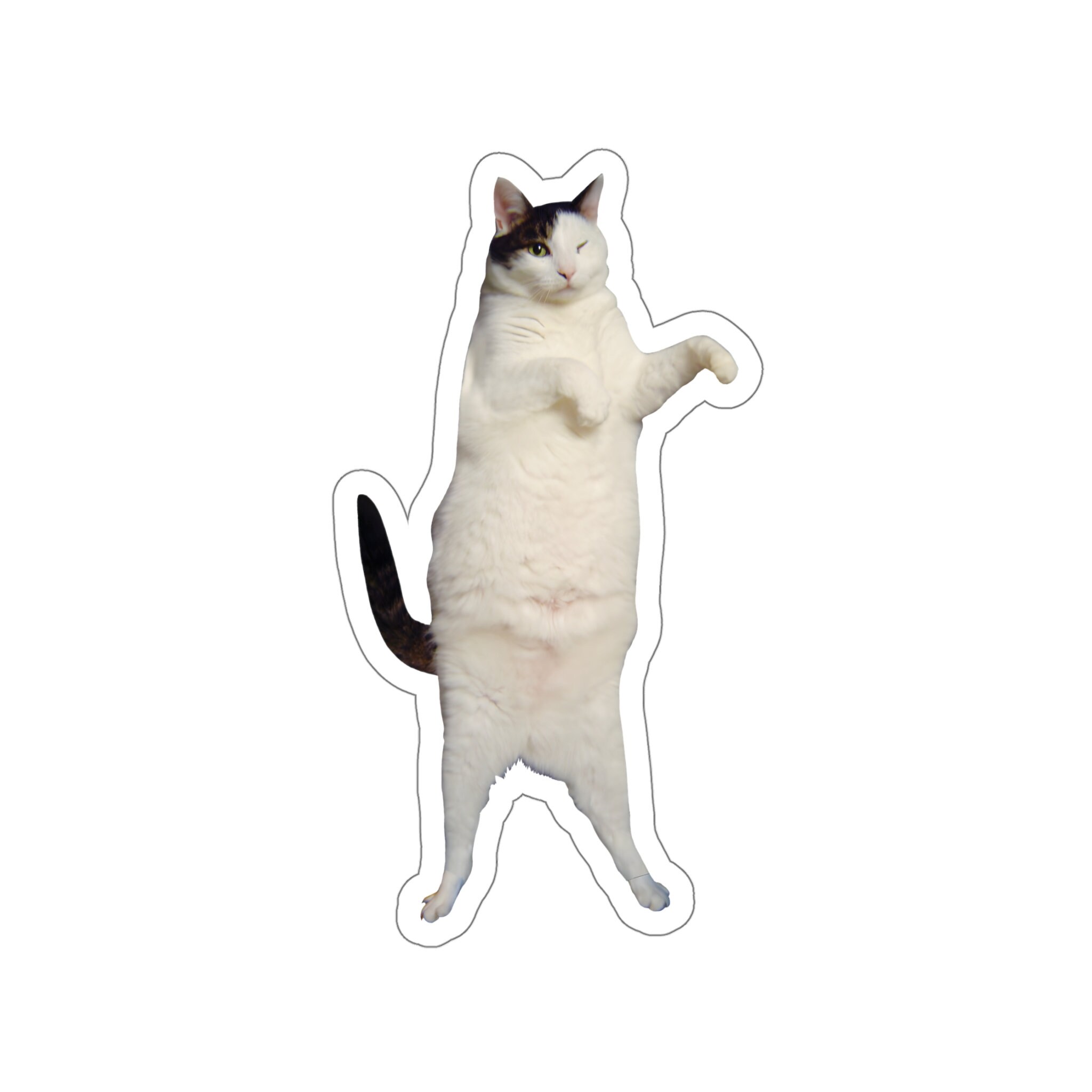 Kitty Cat Dance Sticker #1 - Etsy