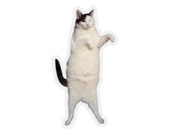 Kitty Cat Dance Sticker #1