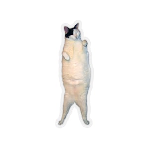 Kitty Cat Dance Sticker #3