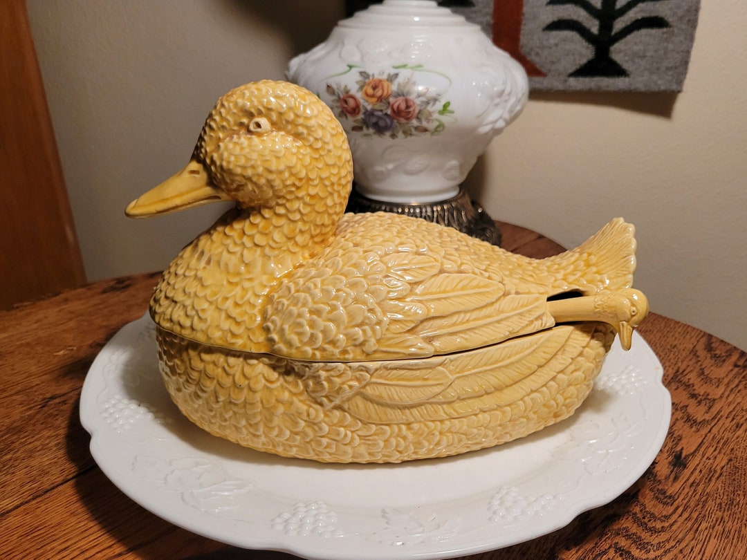 Vintage Duck Soup Tureen With Eggshaped Ladle Etsy