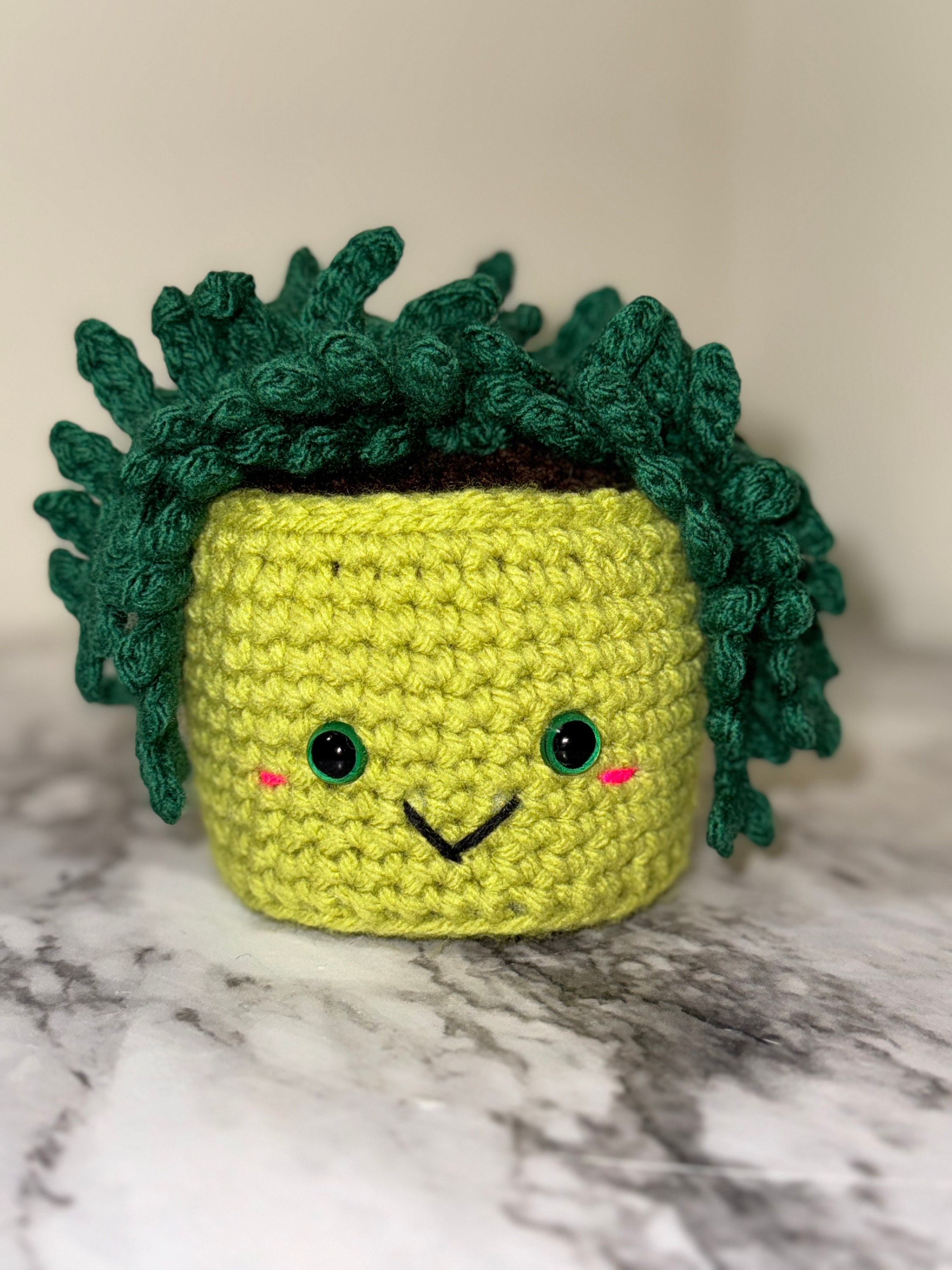 gummibaum geschenk Weißbunter Gummibaum 'Tineke' kaufen main image 1
