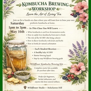 Pode incluir: Um cartaz para um workshop de fabricação de kombucha da Wildflower Studio. O cartaz apresenta ilustrações florais, um frasco de kombucha e texto detalhando o conteúdo da aula, incluindo fermentação, aromatização e técnicas de engarrafamento. O workshop é em 16 de maio.