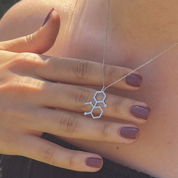 Silver Ketamine Molecule Necklace, Chemistry Necklace, Molecule Jewelry, Dainty Necklace, Gift For Her Christmas Gift