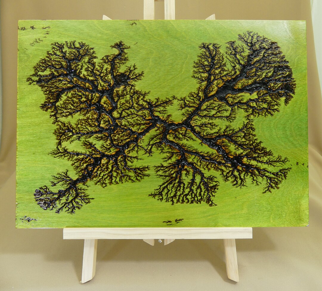 Lichtenberg Art Burning - Etsy