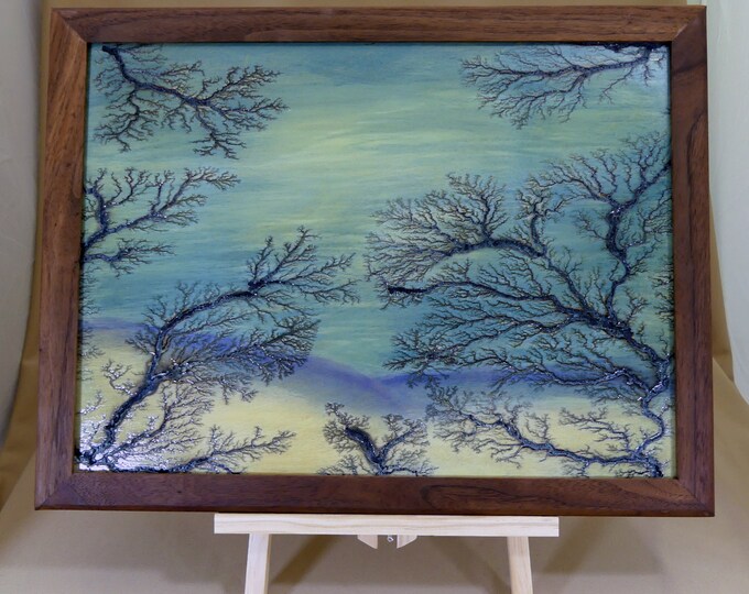 Lichtenberg Art Burning - Etsy