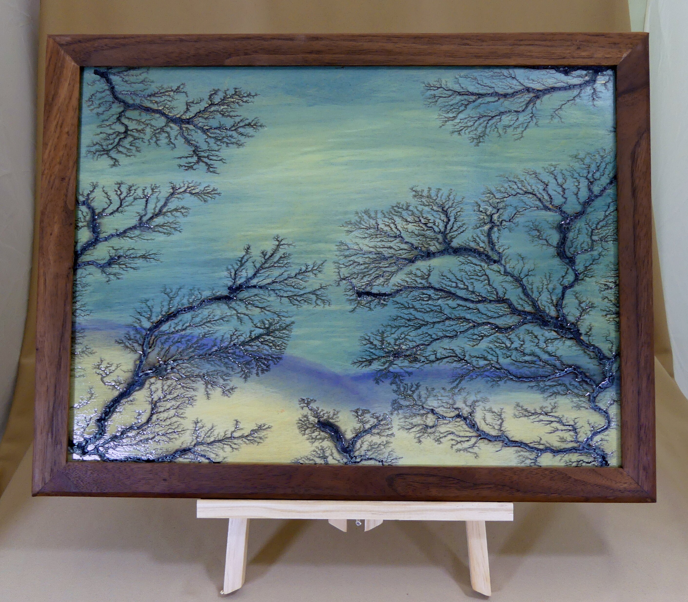 Lichtenberg Art Burning - Etsy