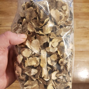 2oz Dried Turkey Tail Mushrooms * Trametes versicolor * Sustainably Harvested along the Willamette River in Oregon