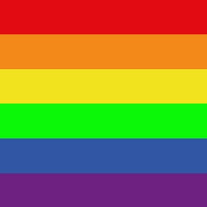 Op de afbeelding: Een regenboogvlag met zes horizontale strepen in de kleuren rood, oranje, geel, groen, blauw en paars.