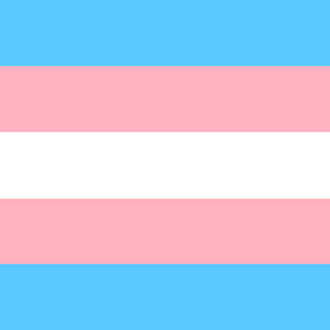 May include: The transgender pride flag is a horizontal tricolor with light blue, pink, and white stripes.
