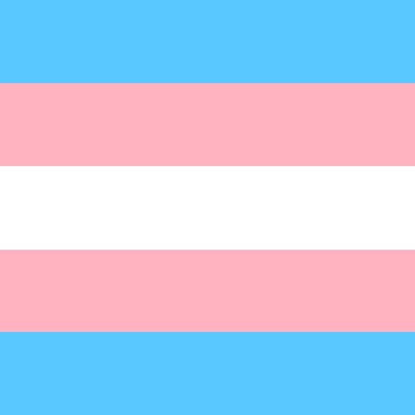 Transgender Pride Flag: YOU PRINT, Any Size, Digital File