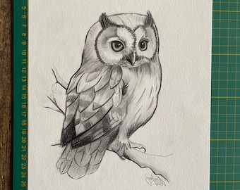 Dessin ORIGINAL - Portrait crayons graphites d'une chouette hulotte - Dessin réaliste format A4 - Art animalier - Cadeau original - Oiseau