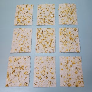 Cover Me In Sunshine 9er Pack Ringelblumen handgemachtes Upcycled Papier