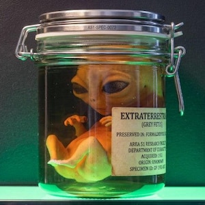May include: A clear glass jar with a metal clamp lid containing a small orange extraterrestrial grey fetus figure submerged in liquid. A beige label on the front reads EXTRATERRESTRIAL (GREY FETUS) PRESERVED IN: FORMALDEHYDE AREA 51 RESEARCH FACILITY.