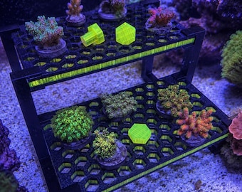 Frag Tank Coral Rack