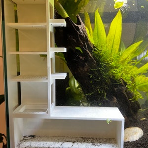 Shrimp Aquarium Condos