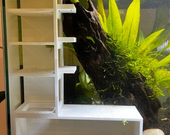 Shrimp Aquarium Condos