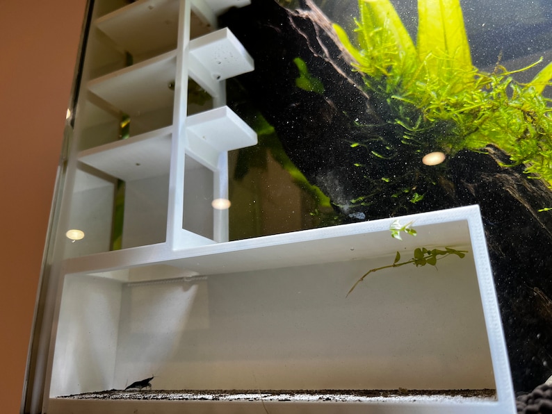 Picture of Shrimp Aquarium Condos - Etsy