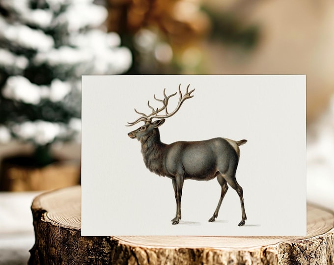 Christmas Card Printable Fine Art Reindeer